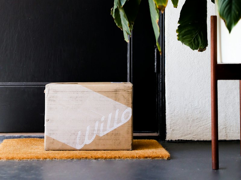 A delivery box waiting on a doormat inside a front door, next to a plant