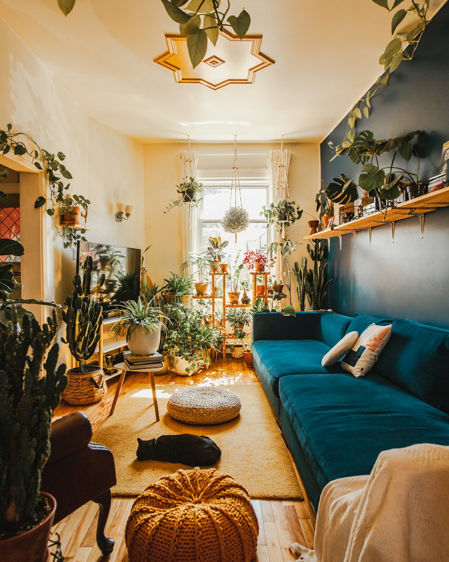 A sunny living room with a teal sofa and lots of houseplants