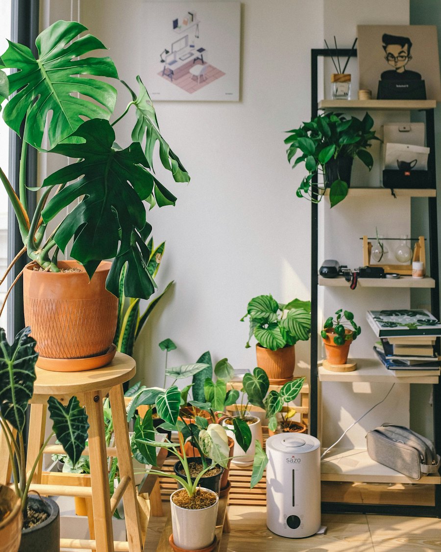 A bright corner full of healthy houseplants on shelves and stools